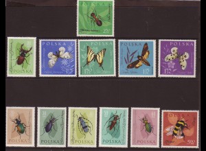 Polen: 1961, Insekten