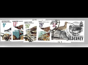 Alderney: 1984, Seevögel