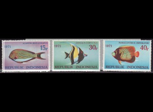 Indonesien: 1971, Meeresfische (I)