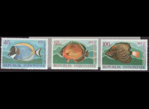 Indonesien: 1973, Meeresfische (III)