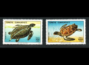Türkei: 1989, Meeresschildkröten