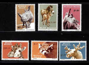 Belgien: 1961, Tiere aus dem Zoo Antwerpen (Säugetiere)