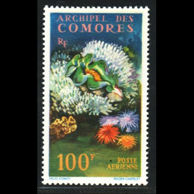 Komoren: 1962, Freimarke Riesenmuschel 100 Fr.