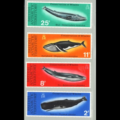 Brit. Antarktisgebiete: 1977, Schutz der Wale