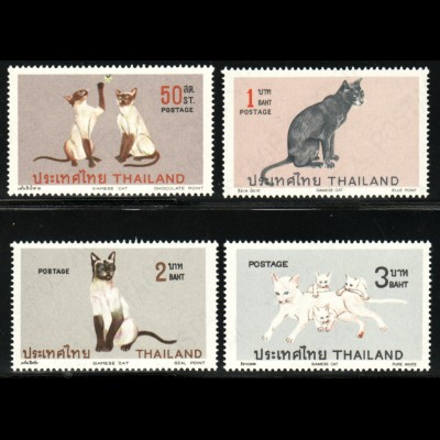 Thailand: 1971, Siamkatzen