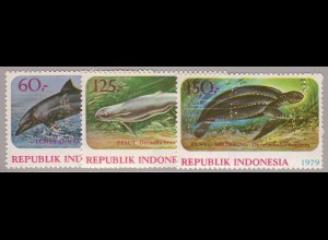 Indonesien: 1979, Naturschutz (Meerestiere)