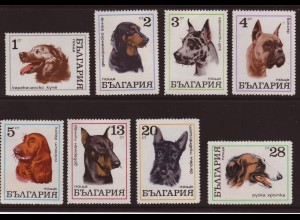 Bulgarien: 1970, Hunde