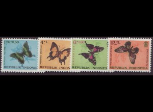 Indonesien: 1963, Schmetterlinge