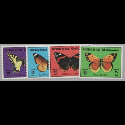 Iran: 1980, Schmetterlinge