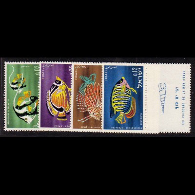Israel: 1962, Fische des Roten Meeres