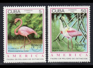 Kuba: 1993, Großer Flamingo