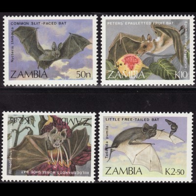 Sambia: 1989, Fledermäuse