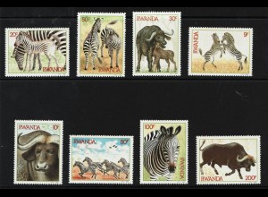 Ruanda: 1984, Zebras und Büffel