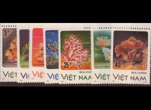 Vietnam: 1987, Korallen