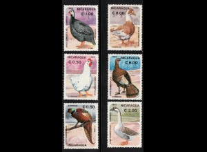 Nicaragua: 1985, Vögel