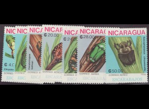 Nicaragua: 1988, Käfer