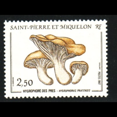 St. Pierre und Miquelon: 1987, Wiesenschneckling (Pilze)