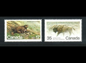 Kanada: 1981, Tiere (Murmeltier und Bison)