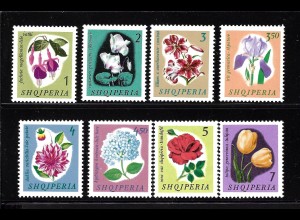 Albanien: 1965, Blumen