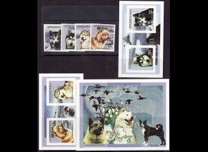 Tschad: 1998, Hunde der Polargebiete (Satz, Kleinbogenpaar und Blockausgabe, jeweils ungezähnt)