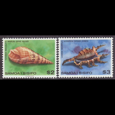 Samoa: 1979, Meeresschnecken