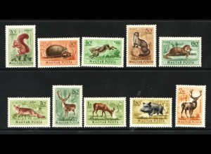 Ungarn: 1953, Tiere