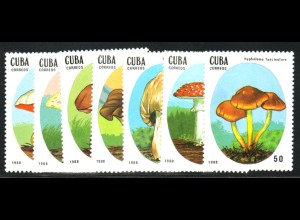 Kuba: 1988, Pilze
