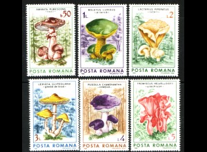 Rumänien: 1986, Pilze