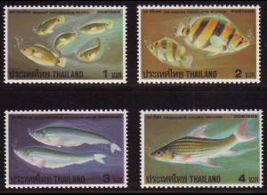 Thailand: 1978, Fische