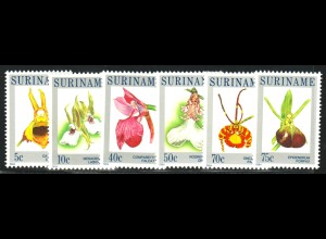 Surinam: 1984, Orchideen