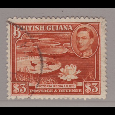 Guyana: 1938, Freimarke König Georg VI. mit Riesenseerose 3 $ (Höchstwert)