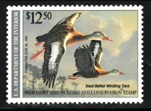 USA: 1991, Jagdgebührenmarken (Duck-Stamp, nach Scott RW 57)