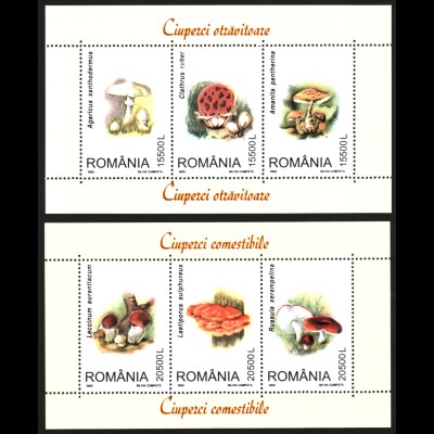 Rumänien: 2003, Blockpaar Pilze