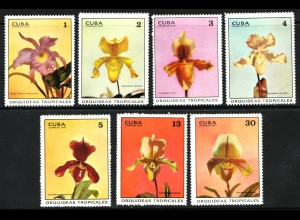 Kuba: 1972, Tropische Orchideen