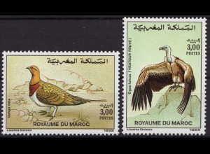Marokko: 1992, Vögel
