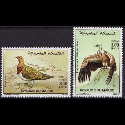 Marokko: 1992, Vögel