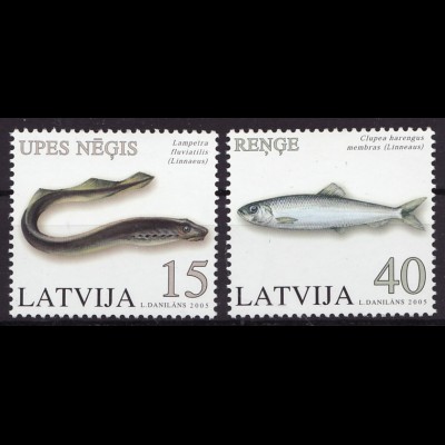 Lettland: 2005, Fische