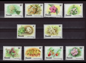 Ruanda: 1981, Blüten