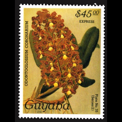 Guyana: 1987, Orchidee (XXVII) Eilmarke 45 $