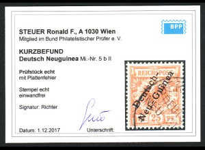 DNG: 1899, Krone/Adler 25 Pfg. Plattenfehler II (Kurzbefund Steuer BPP)