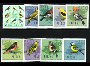 Polen: 1966, Waldvögel