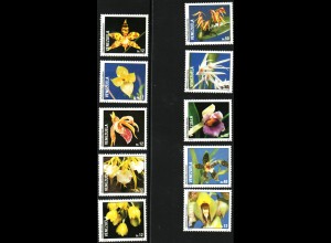 Venezuela: 1991, Orchideen