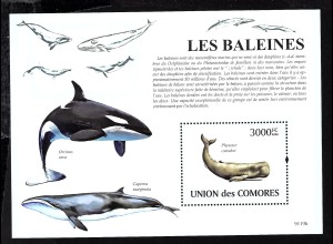 Komoren: 2009, Blockausgabe Wale